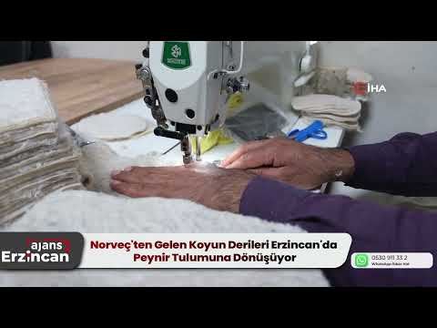Norveç'ten Gelen Koyun Derileri Erzincan'da Peynir Tulumuna Dönüşüyor