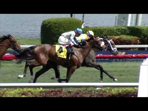 Gulfstream Park Replay Show | March 4, 2017