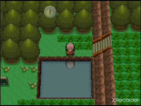 Route 203: Pokémon Diamond, Pearl & Platinum
