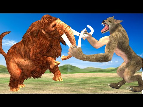 Giant Tiger wolf Attacks Cow Cartoon Saved By Giant Bull, Woolly Mammoth Elephant