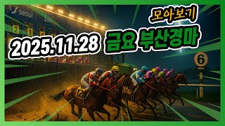 2025년 11월 28일 금요 부산경마 전체경주 모아보기