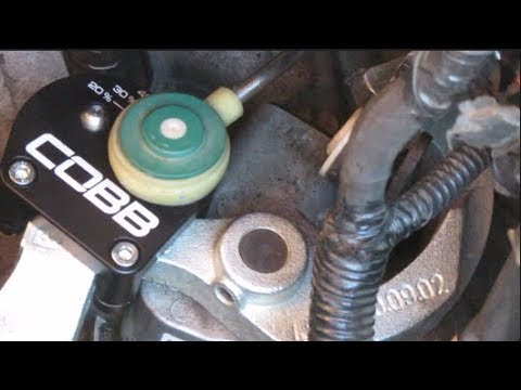 COBB Short shifter plate install | Focus ST