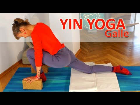 Yoga für die Gallenblase - Yin Yoga Sequenz Level 1 💙 21 Min