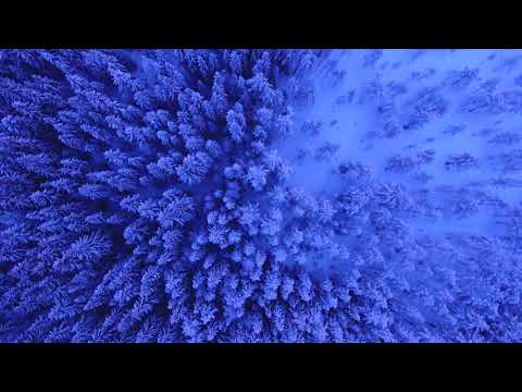 FREE | Post Malone Type Beat & Jaden Smith Type Beat - Cold | Free Type Beat 2018