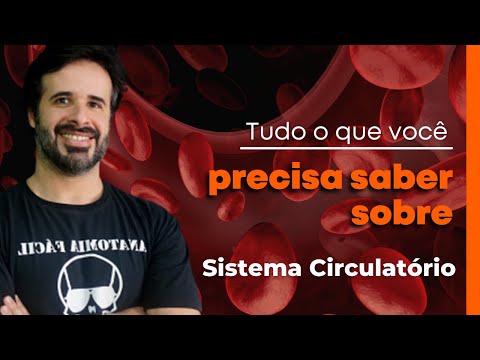 Tudo o que você precisa saber sobre Sistema Circulatório