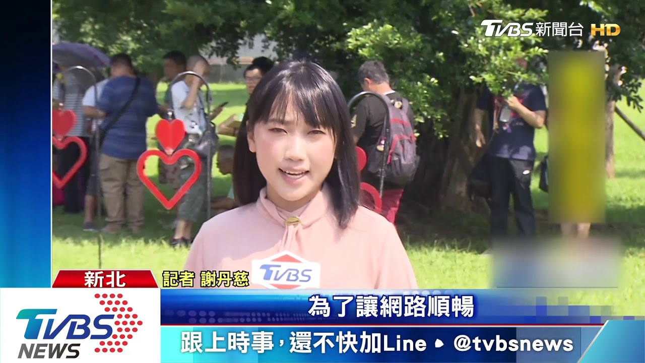 抓寶首日當機！　遊戲公司：系統異常非網路