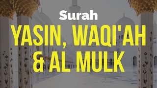 Download lagu Yasin Waqiah Al Mulk mp3