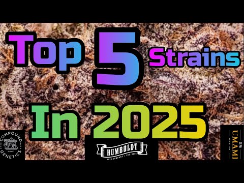 Top 5 Strains of 2025 , #FC6500