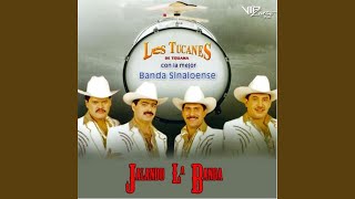 Quisimos Calar La Tierra