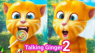 Talking Ginger 2 Eating LOLIPOP 🍭 |  talking tom | talking ginger | Eat With Me |
