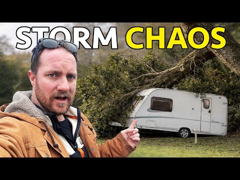 Surviving the Storm & Stealth Camping