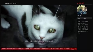 ryutoの剣技（仁王）
