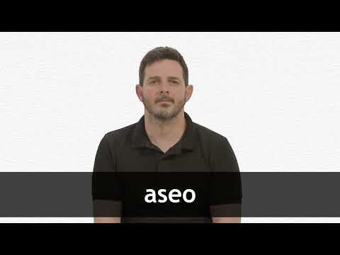 WHAT IS ASEO IN ENGLISH visual data 4