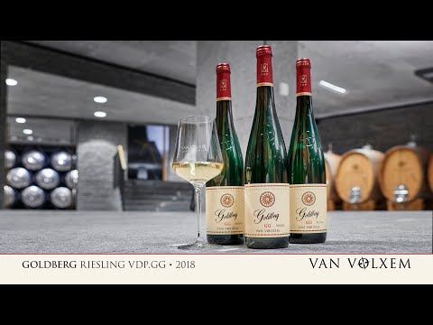 Van Volxem Goldberg Riesling VDP.GG 2018 - Probe