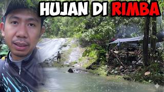 Download lagu Petualangan Camping Rimba Hujan | Survival Masak & Mancing mp3 Download lagu Petualangan Camping Rimba Hujan | Survival Masak & Mancing mp3