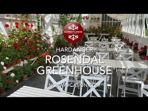 Rosendal Greenhouse Restaurant, Rosendal | Norwaycation.com