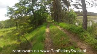 preview picture of video 'Rowerem po lesie w Koszęcinie'