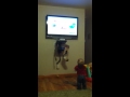 Cody Loves Olive The Ostrich