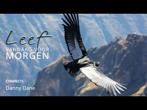 Danny Dane | Leef vandaag voor morgen | 14 januari 2024