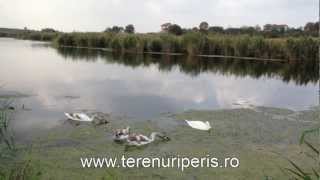preview picture of video 'Terenuri de vanzare Lac Peris'