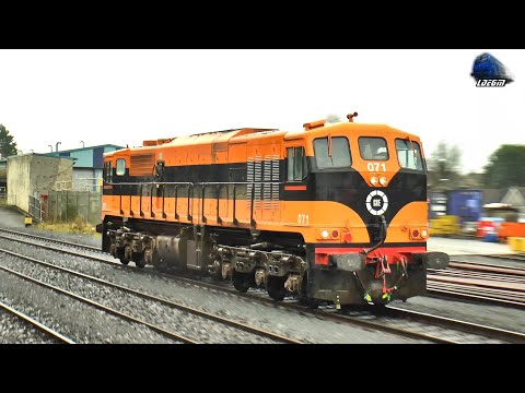 🚂 Irish Class 071 Retro Locomotive 071 in Kildare Station - 02 January 2024