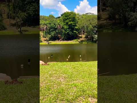 Saldos icemos ￼ grande Hotel de araxá conhecido pela sua beleza araxá Minas Gerais pela sua ￼