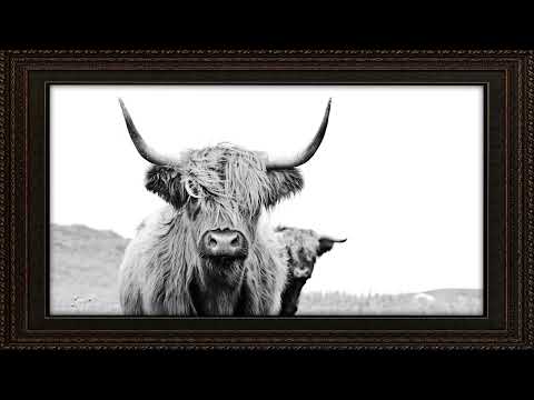 Art Screensaver for TV – Steer