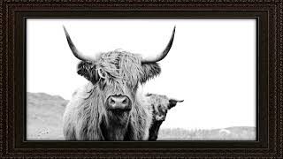 Art Screensaver for TV – Steer