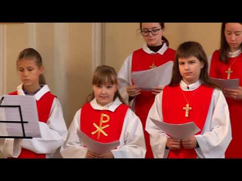 Videó előnézet