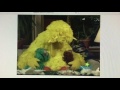 Sesame Street Nighttime OST Maria S Surprise Dinner