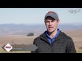 Certified Wagyu Breeders Winterberg Wagyu Andrew Scott Lot Video HD