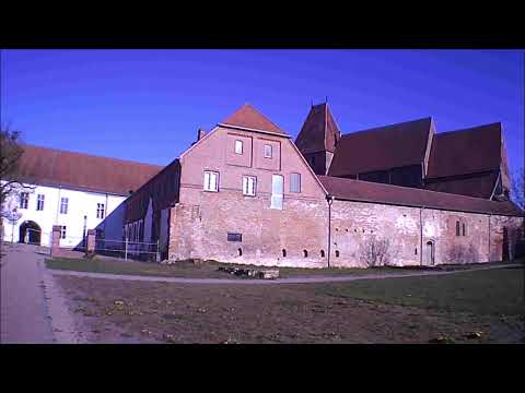 Spaziergang um den Mühlenteich in Rehna