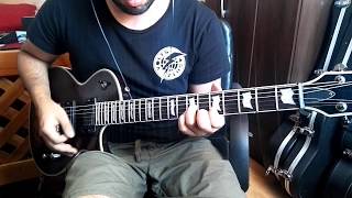 Alter Bridge - Shed my Skin (guitar cover)