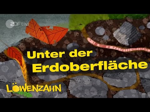 Unter der Erdoberfläche - Löwenzahn - ZDFtivi