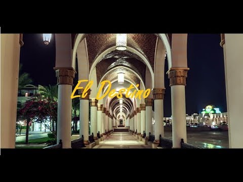 EL DESTINO 🌍 - Wilman The Melody ➕ Sin Freno ♾