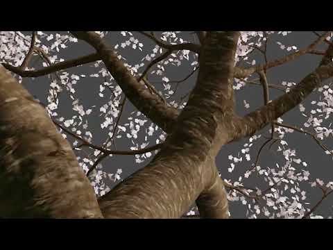 Zyzek - Wsadzili mnie za kraty Prod.SHADE08