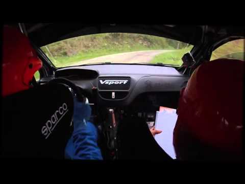 Cameracar Rally del Taro 2016 Gardini-De Vincenzi 208 R2B - PS1