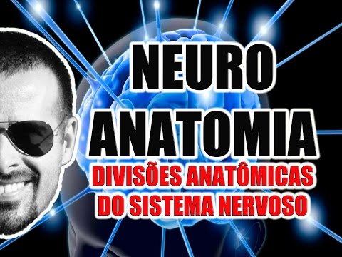 Neuroanatomy - Anatomical Divisions of the Nervous System (CNS, PNS, and ANS) - Video Lesson 068
