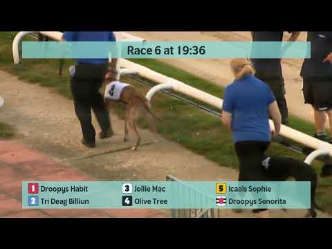 Saturday 20th August 2022