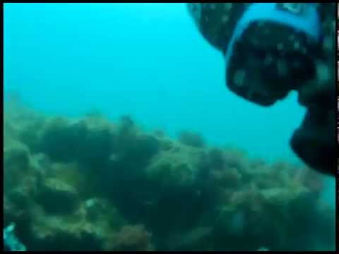 The New Baywatch Season is coming