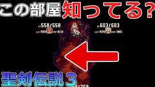 【聖剣伝説3】#29 隠し部屋にいるブラックラビがラスボス竜帝より強すぎるｗｗドラゴンズホール【デュラン編】【スーパーファミコン版・レトロゲーム実況】