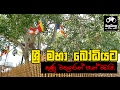 balumgala-13-02-2017