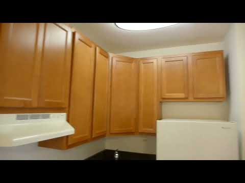 Video of 2048 N. Cleveland, 201, Chicago, IL 60614