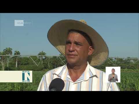 Trasvase de Holguín y sus impactos en el programa alimentario