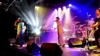 Fusion Square Garden in Aarau