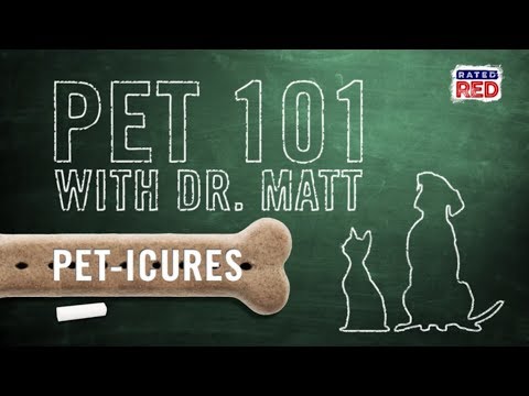 Pet 101: How to Trim Your Pet’s Nails