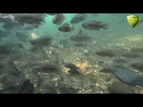 Thermas Paradise - Rio Quente, Goiás (A Sina de Ofélia)