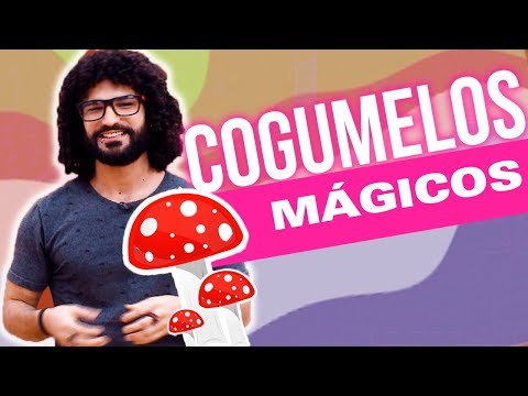 download lagu mp3 mp4 Cogumelo s, download lagu Cogumelo s gratis, unduh video klip Cogumelo s