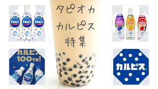 【タピオカカルピス特集】作り方・味付け・食べれるお店などを紹介！