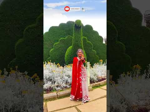 Jisoo Flower dance #youtubeshorts #dance #rowdyrubeena #shortsfeed